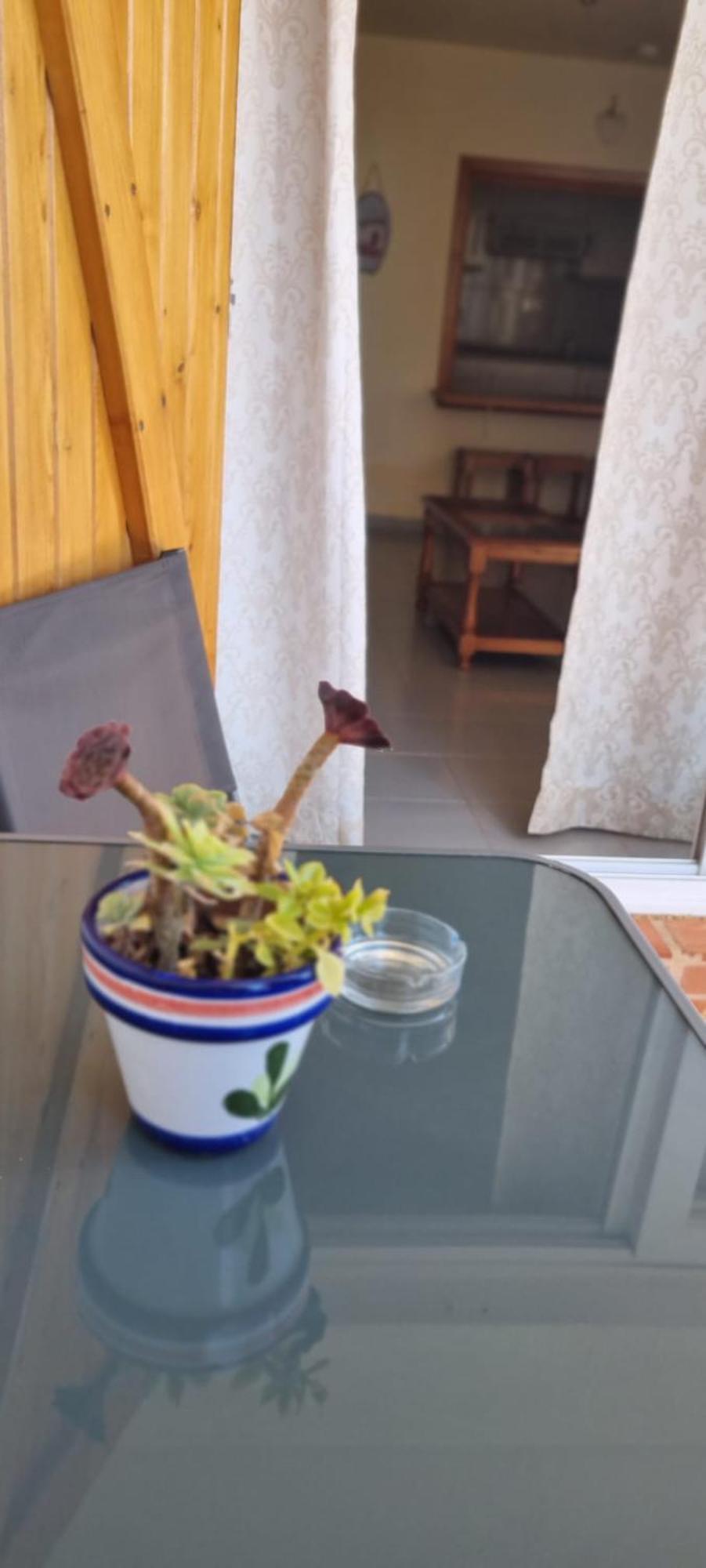 Las Tres Palmeras Vinarós Ngoại thất bức ảnh